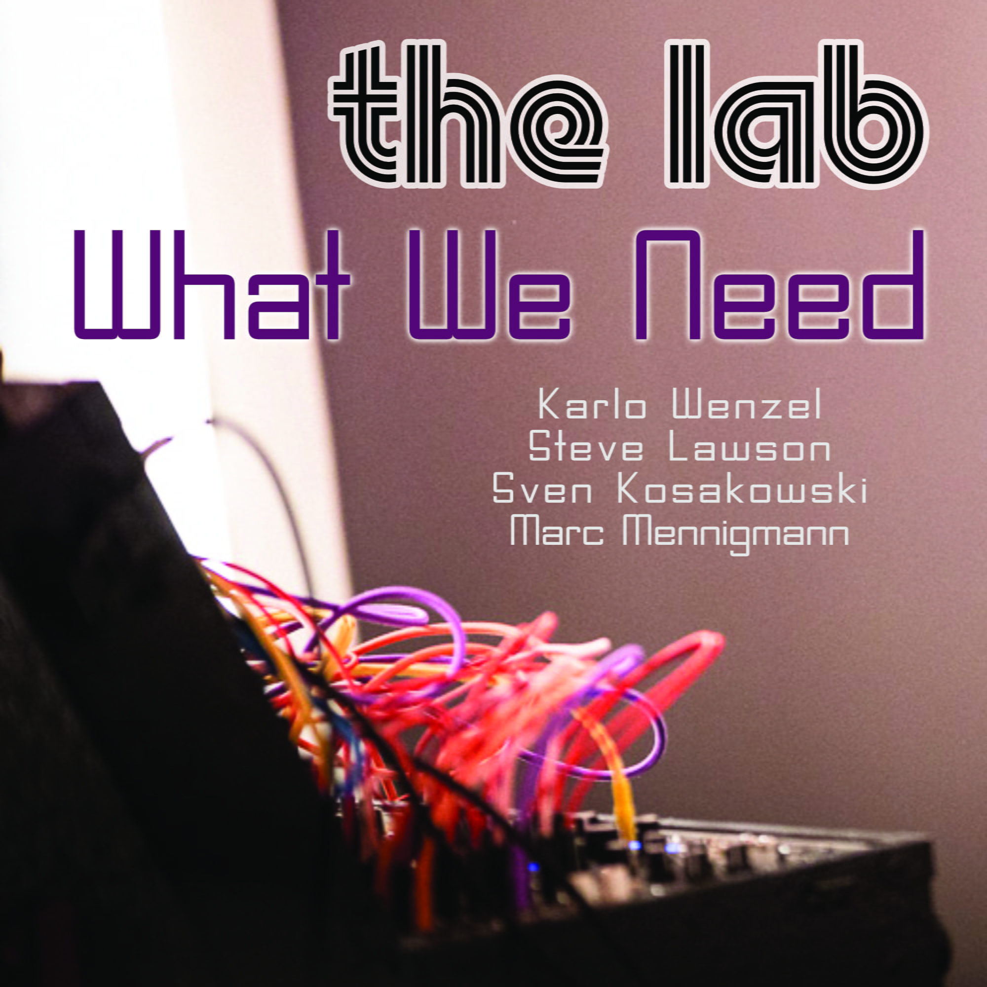 "What We Need" album cover